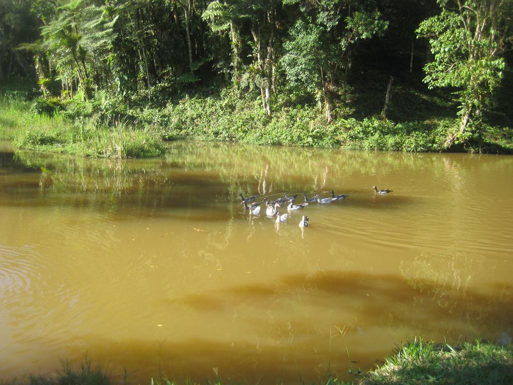Pousada Recanto Dos Pinheiros Pilar do Sul Ngoại thất bức ảnh