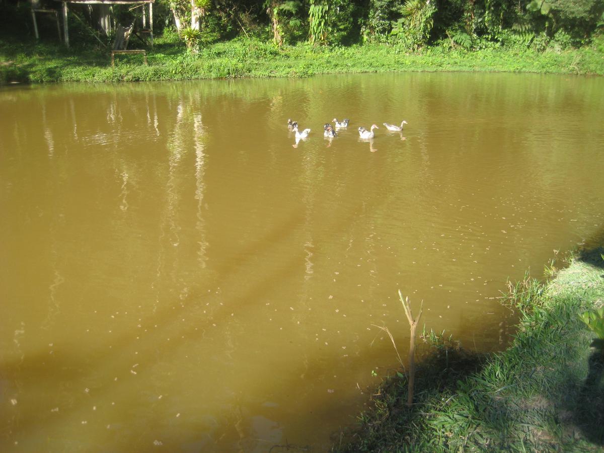 Pousada Recanto Dos Pinheiros Pilar do Sul Ngoại thất bức ảnh